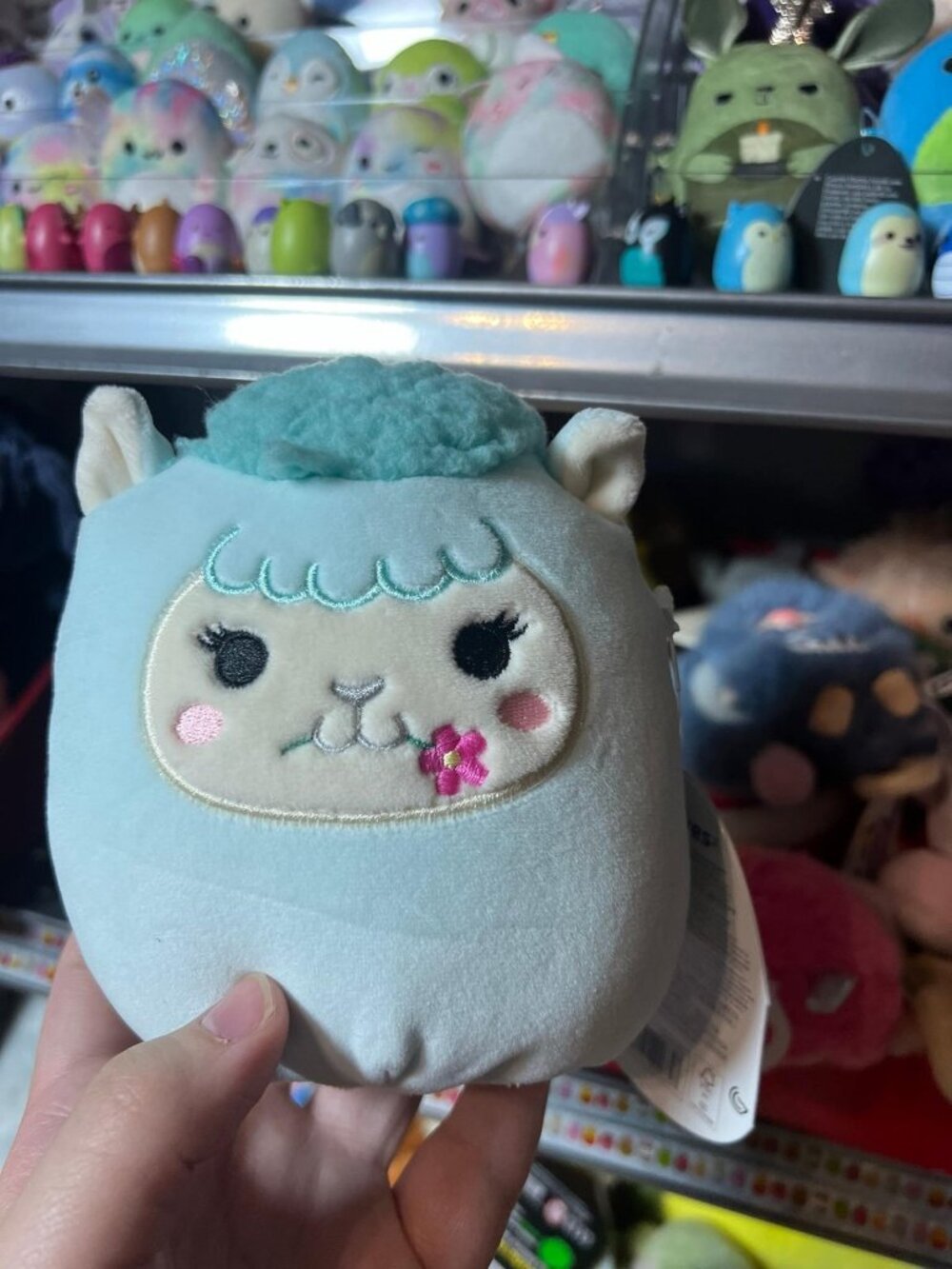 5” Lorna the blue alpaca squishmallow 2026 RELEASE NEW